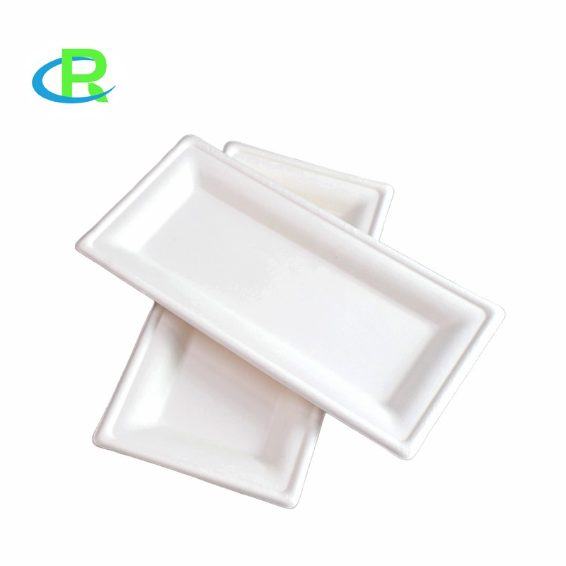 Rectangle Food Plates Sugarcane Tableware Chinese Supplier