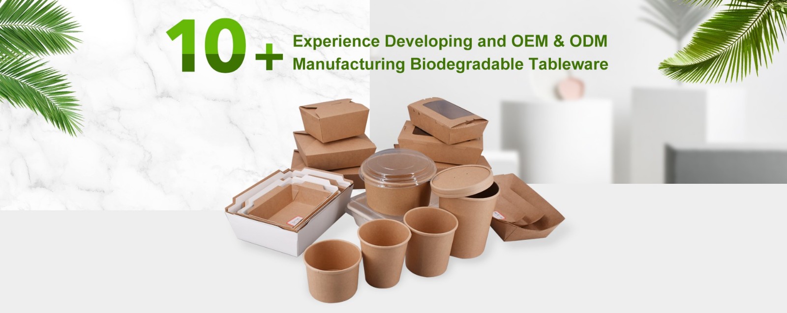 bagasse box,bagasse food container,biodegradable tableware,compostable tableware