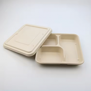Factory Price Rectangle Food Tray 5-compartment Paper Tray Disposable Sugarcane Bagasse Food Tray