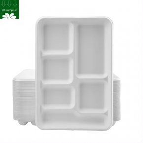 Sugarcane bagasse mold plates container 6 compartment rectangle lunch tray
