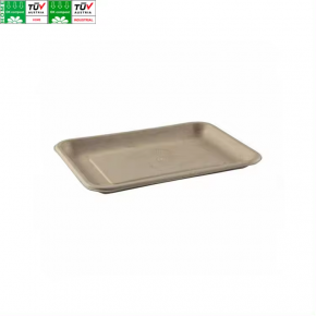 Cheap Price Disposable Sugarcane Multi Waterproof Food Tray Bagasse Sushi Tray 