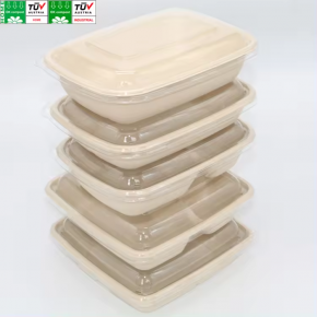 Wholesale Paper Lunch Box 4 Compartment Box Disposable Bagasse  Lunch Box Paper Food Containers