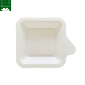 Disposable bagasse square plate Bagasse Cake Plates Christmas Party Dishes