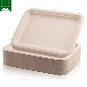 Disposable bagasse Rectangle plate Bagasse paper Plates Christmas Party Dishes