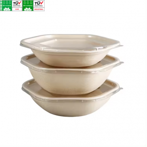 Bagasse Pulp Custom Disposable Sugarcane Bagasse Pulp Hexagon Shape Bowl With Lids