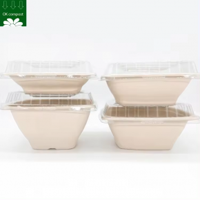 Bagasse Square bowl bagasse microwavable salad Straight Take Away Food bowl 