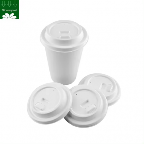 8oz/12oz/16oz bagasse hot bagasse coffee cups with lid